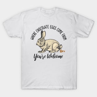 Where Chocolate Eggs Come From Easter Potty Poop T-Shirt